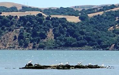 2015-06-26 Benicia LPI 13